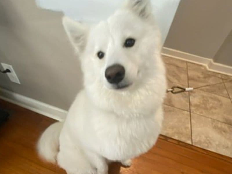 Skyla primary photo