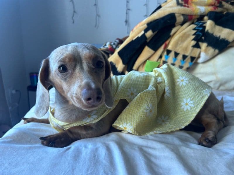 Winnie primary photo