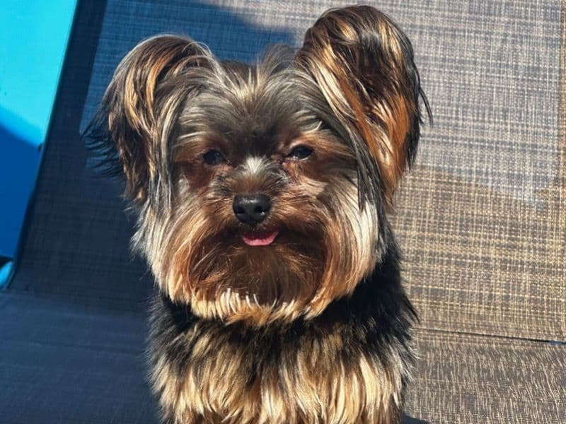 Zeus primary photo