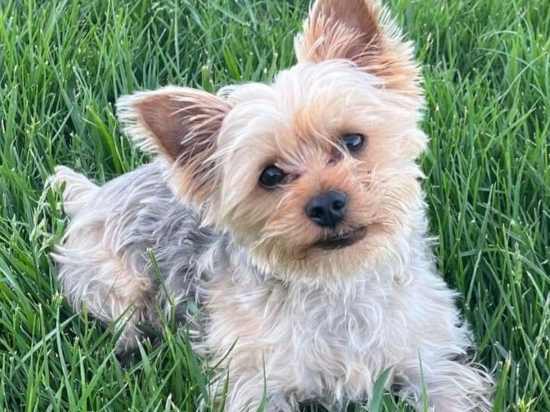 Max primary photo