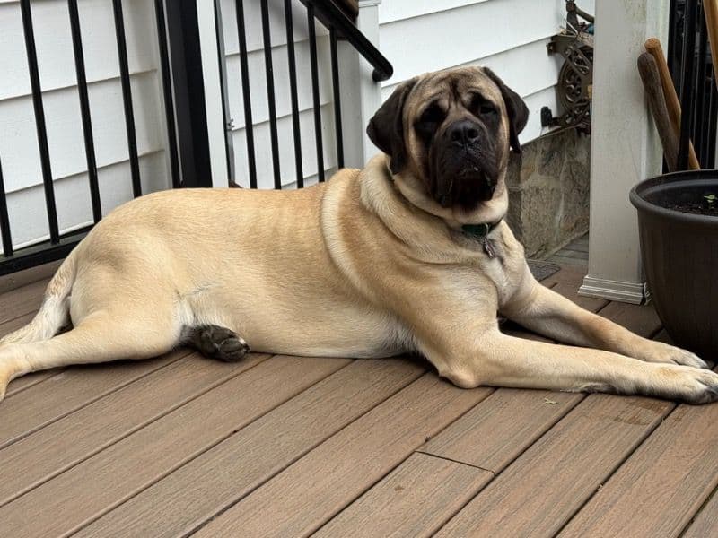 Zeus primary photo