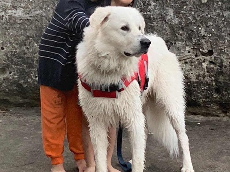 Garden primary photo