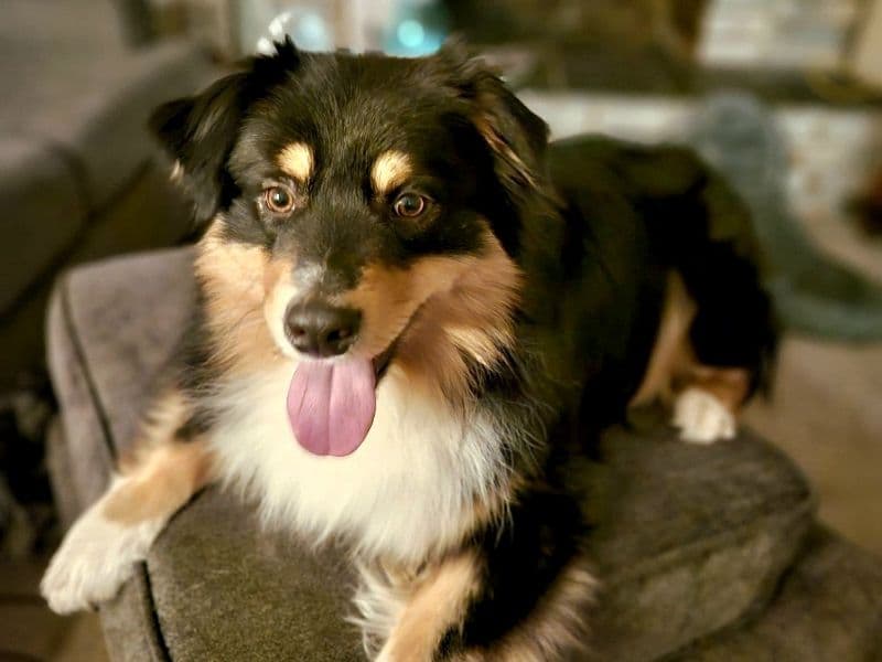 Grainger primary photo