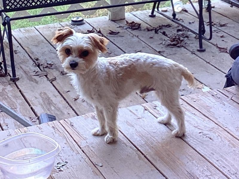 Doby primary photo