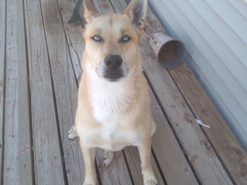 Tucker primary photo