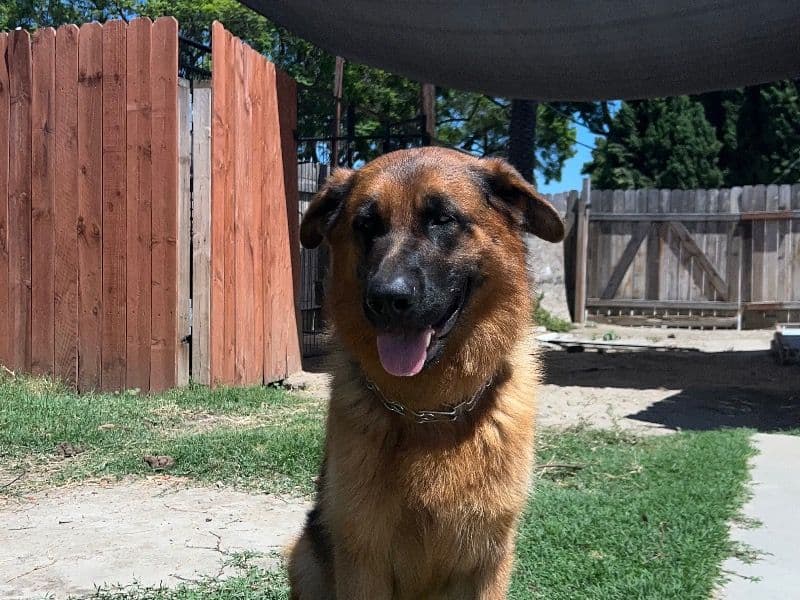 Max primary photo