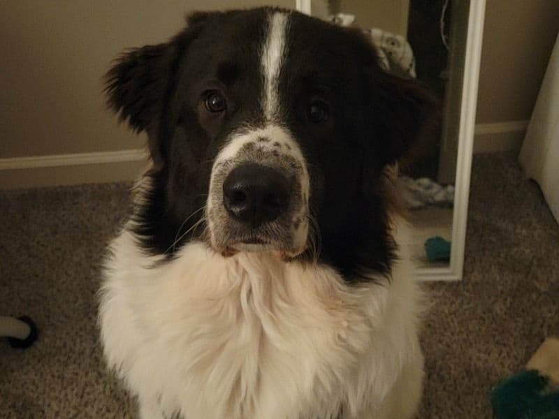 Theo primary photo