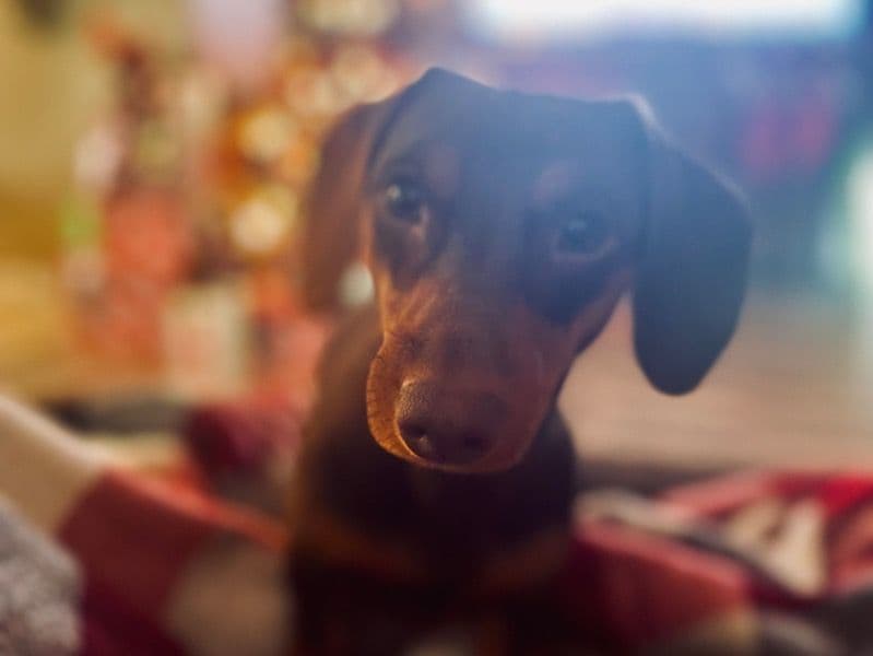 Charlie primary photo