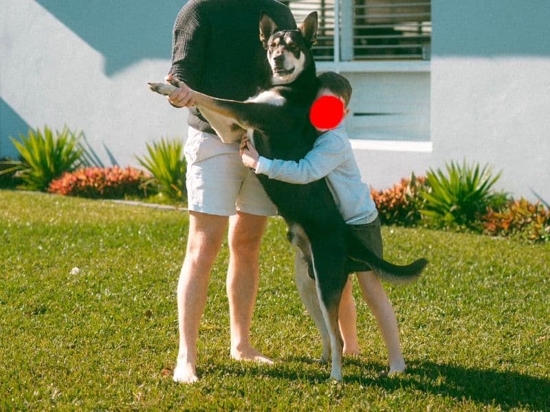 Tucker primary photo