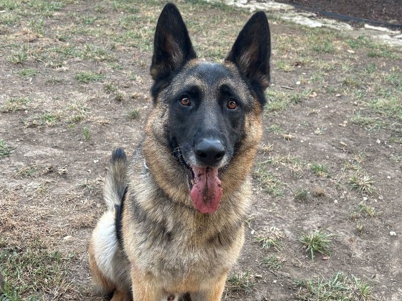 Zeus primary photo