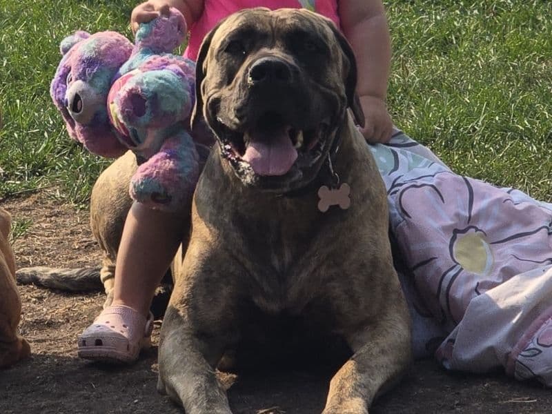 Ruby primary photo
