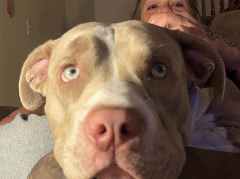 Kona primary photo