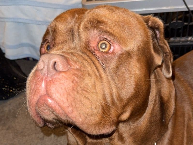 Rolo primary photo