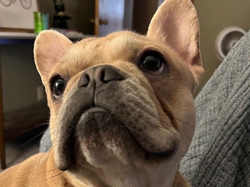 Butters primary photo