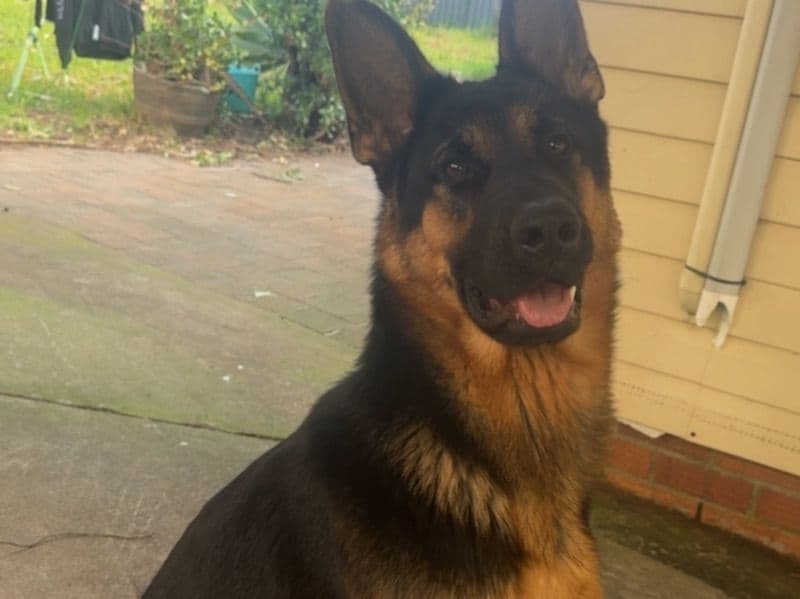 Zeus primary photo