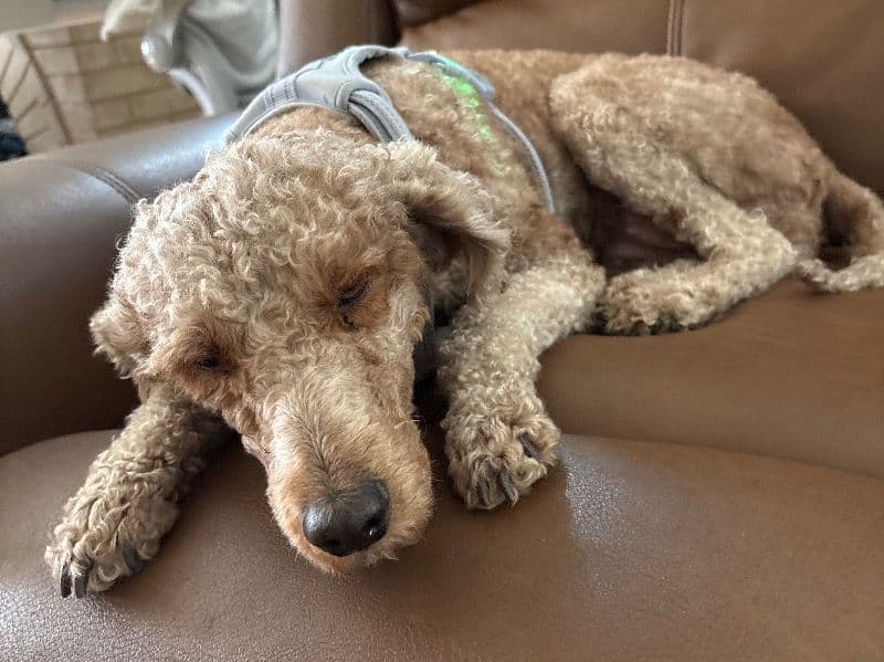 Summer primary photo