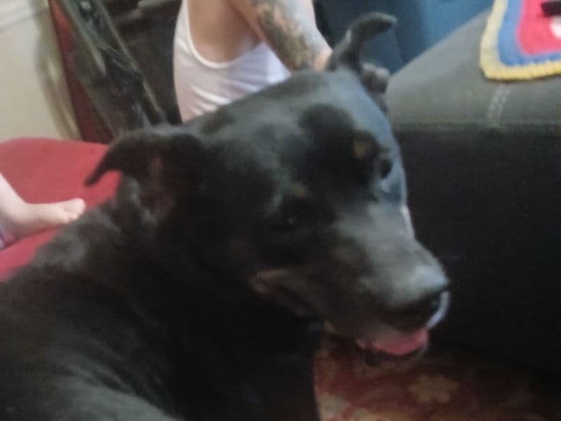 Lillith primary photo