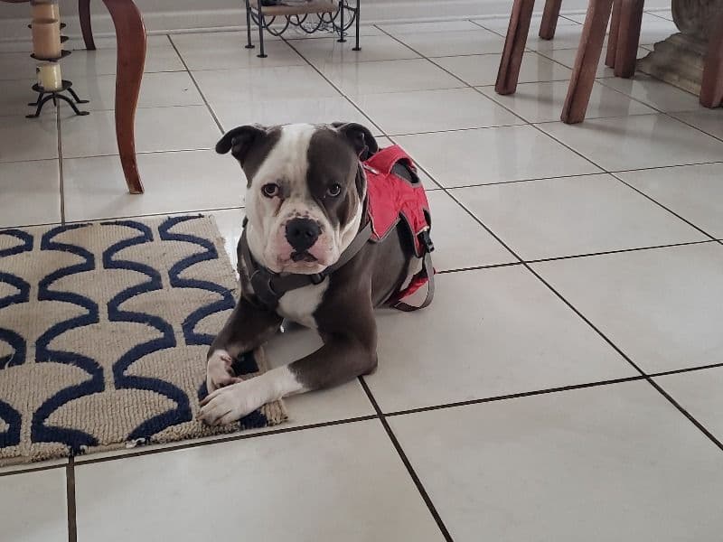 Gucciii primary photo