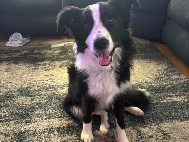 Maggie primary photo