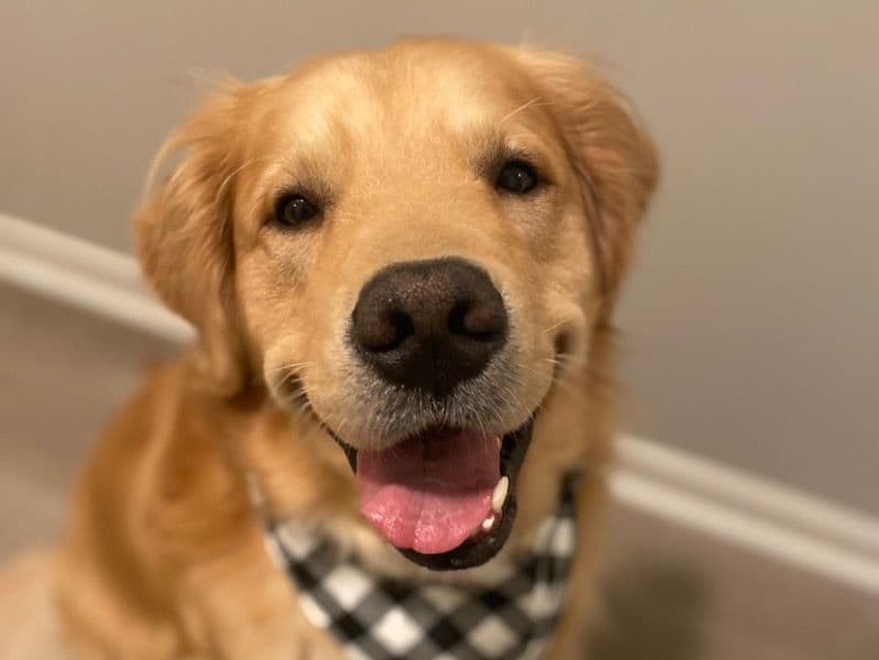 Max primary photo