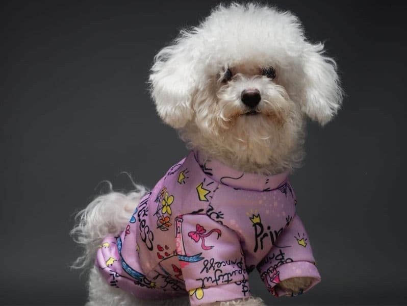 Nala primary photo