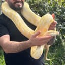 Milad Kathawa  - Pet owner from Ontario, CA