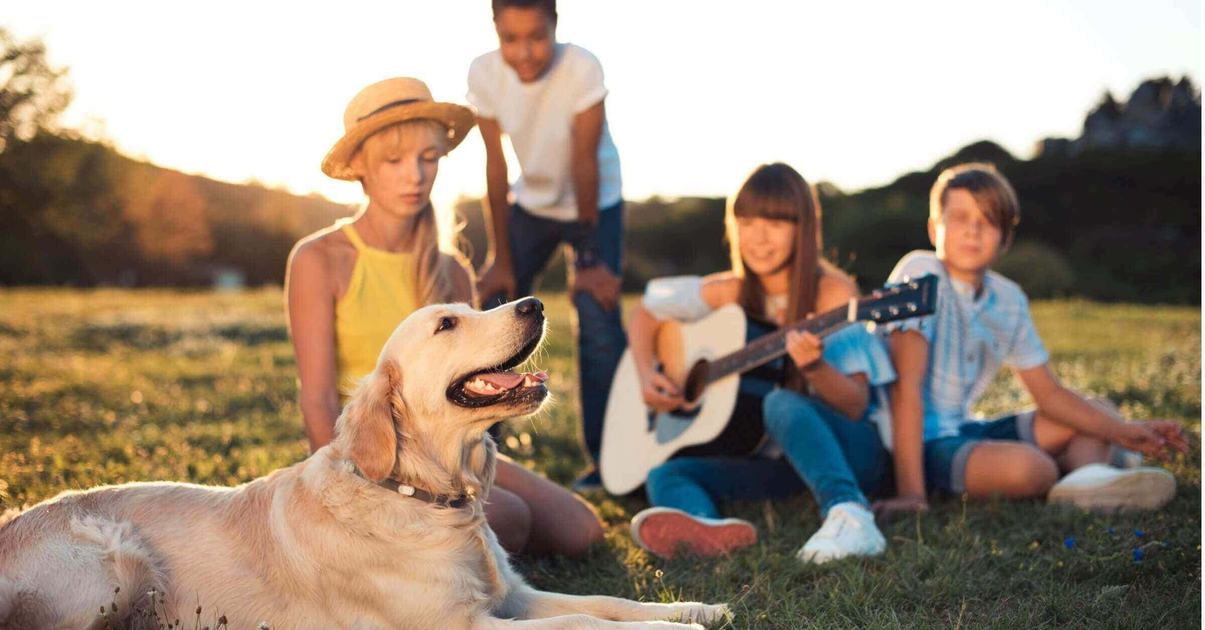 Top 15 Most Friendly dog Breeds 2025 - Petmeetly
