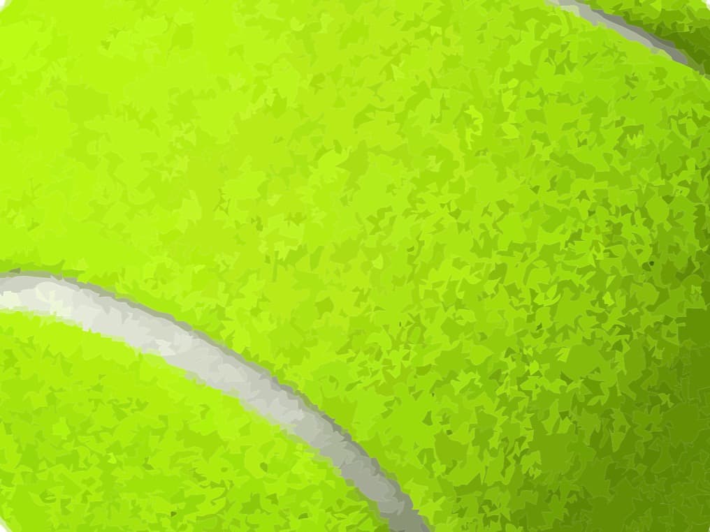 Golden Retriever 2 years 1 month old female large named Robin for breeding in Colorado Springs, Colorado | Petmeetly