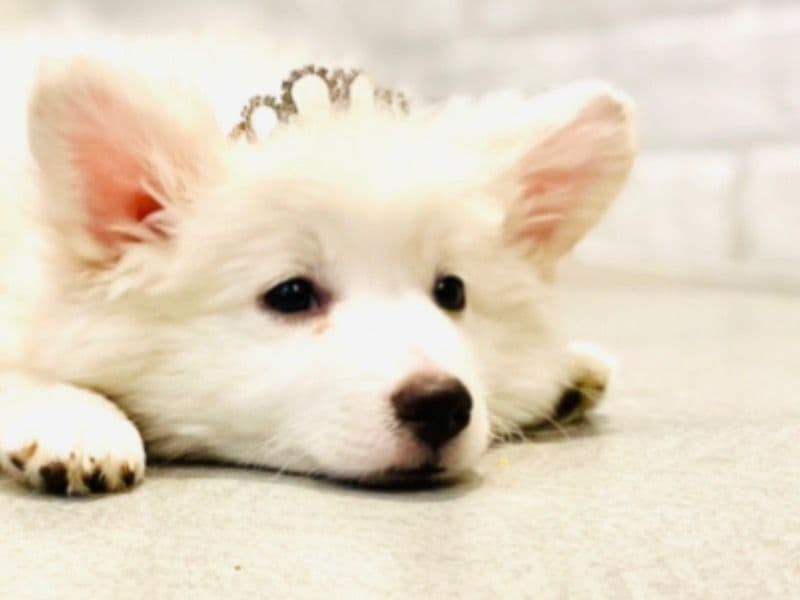 Cloudy primary photo