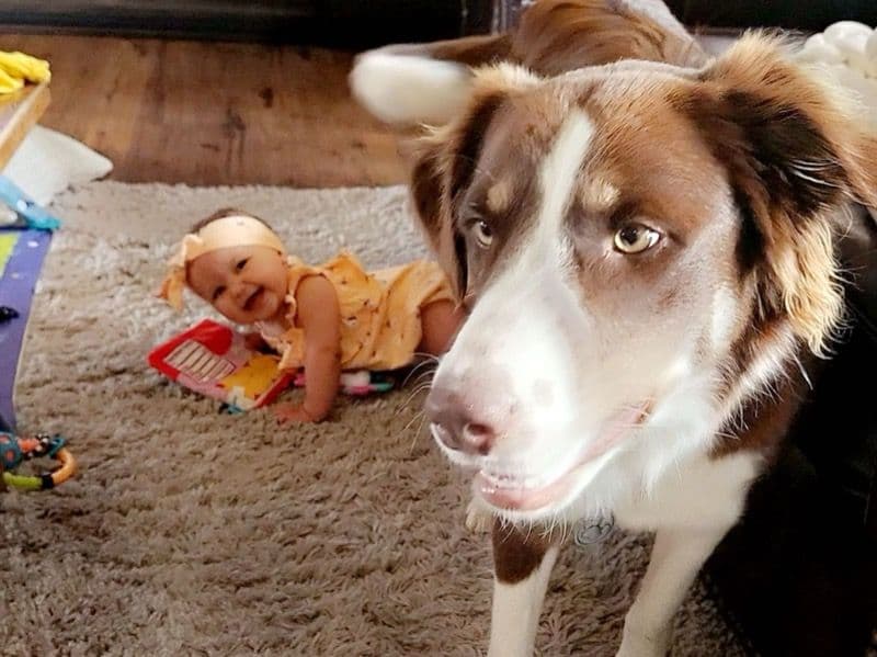 Tucker primary photo