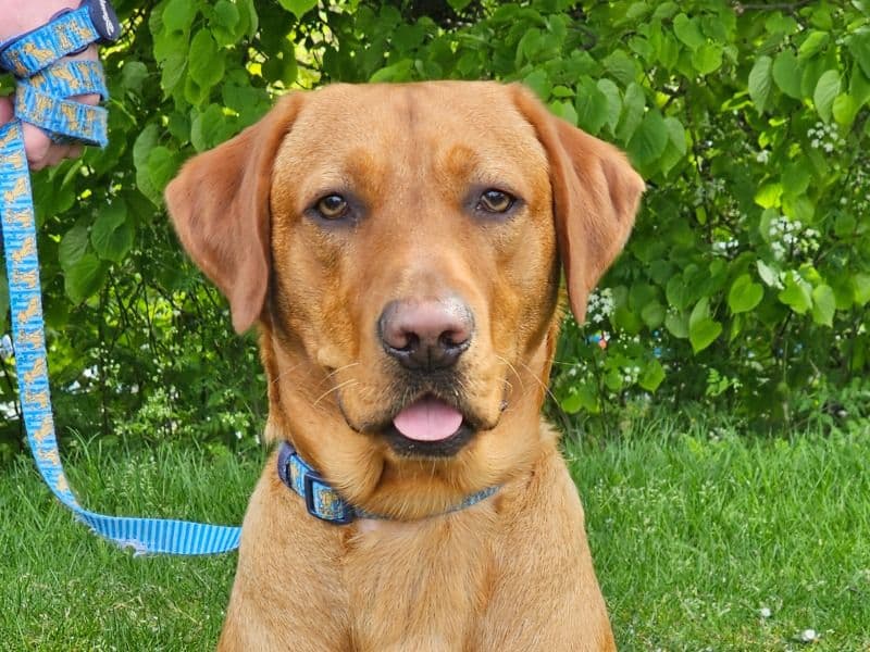 Jethro primary photo