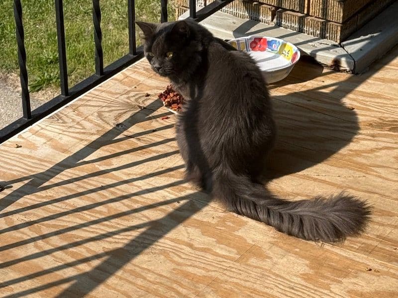 I Don’t Know primary photo