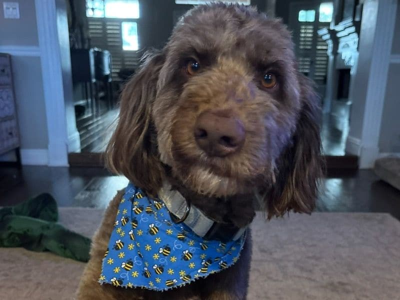 Charlie primary photo