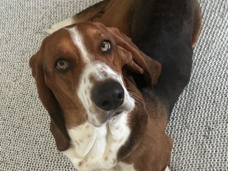 Sterling primary photo