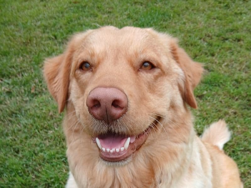 Bubbles primary photo