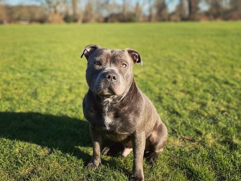 Kranti primary photo