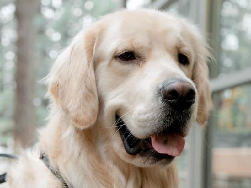 Junior primary photo