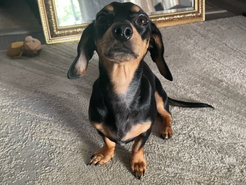 Charlie primary photo