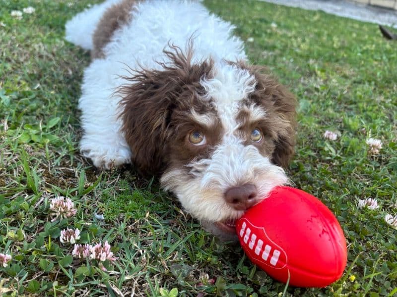 Jeremiah primary photo