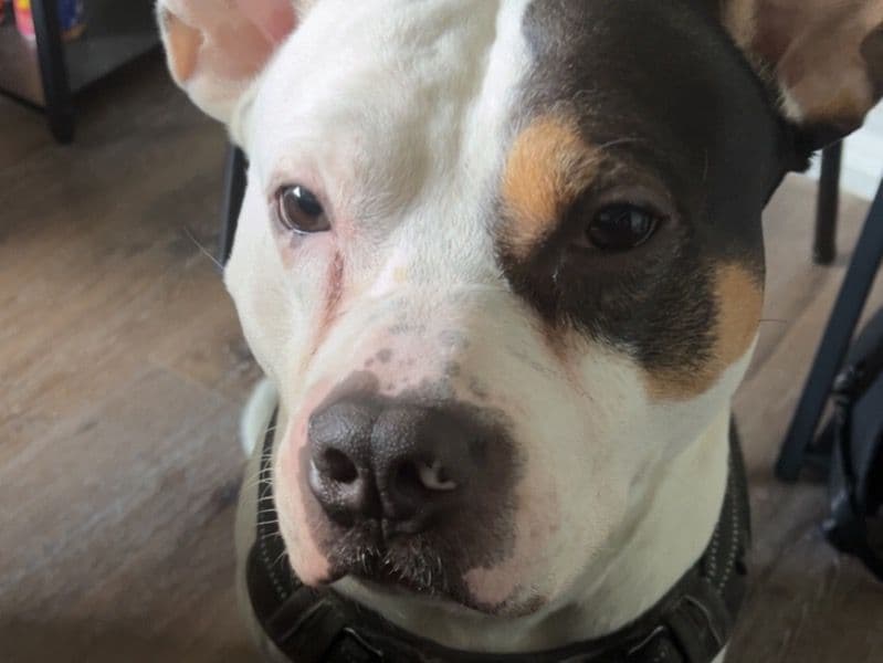 Hussle primary photo