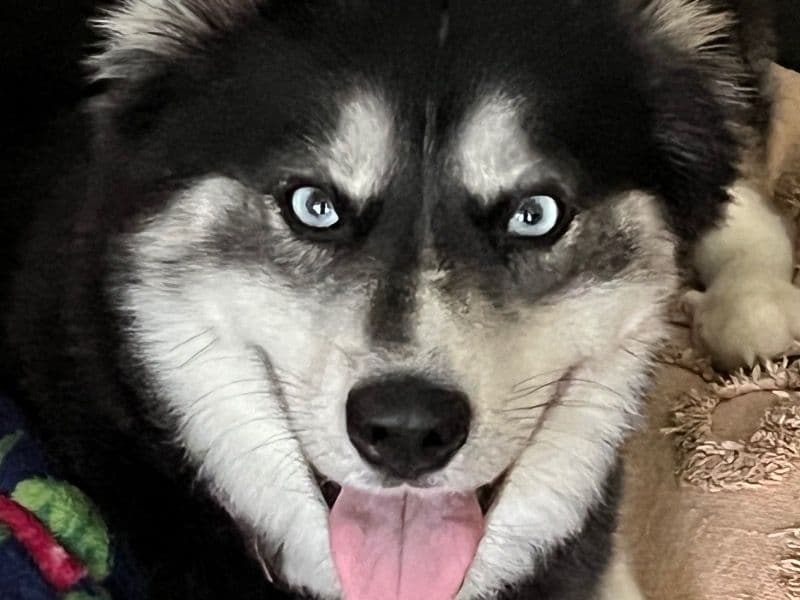 Maurgaret primary photo