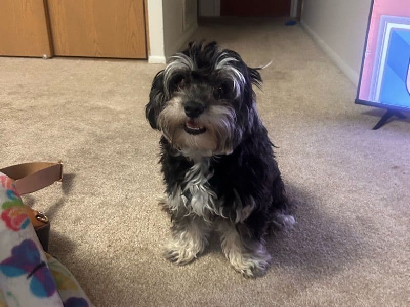 Tay Tay primary photo