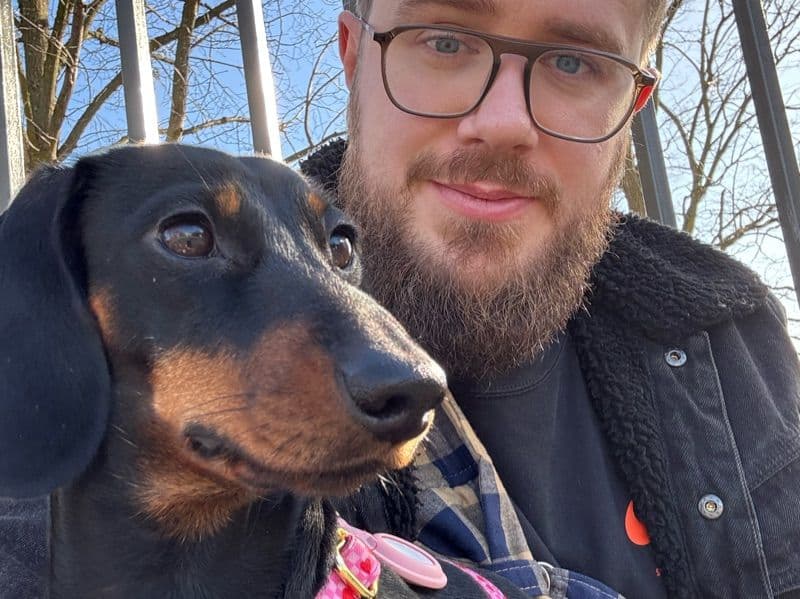 Dachshund 1 year 10 months old female small named Inna for breeding in Hauts-de-Seine, Île-de-France | Petmeetly