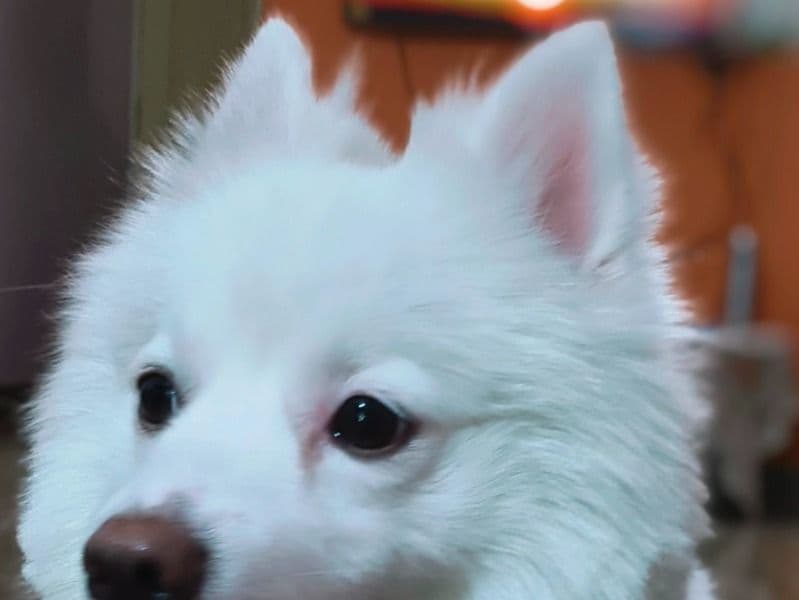 Bubblu primary photo