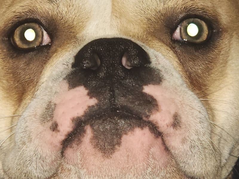 Quincy primary photo