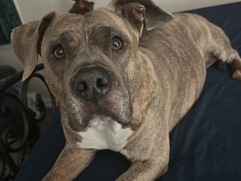 Shortie primary photo