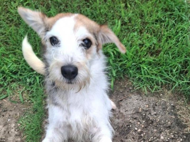 Penelope primary photo