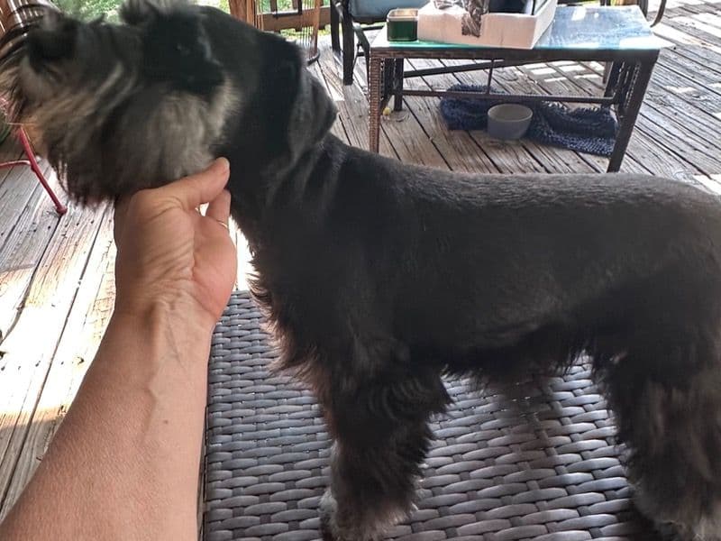 Gunner primary photo