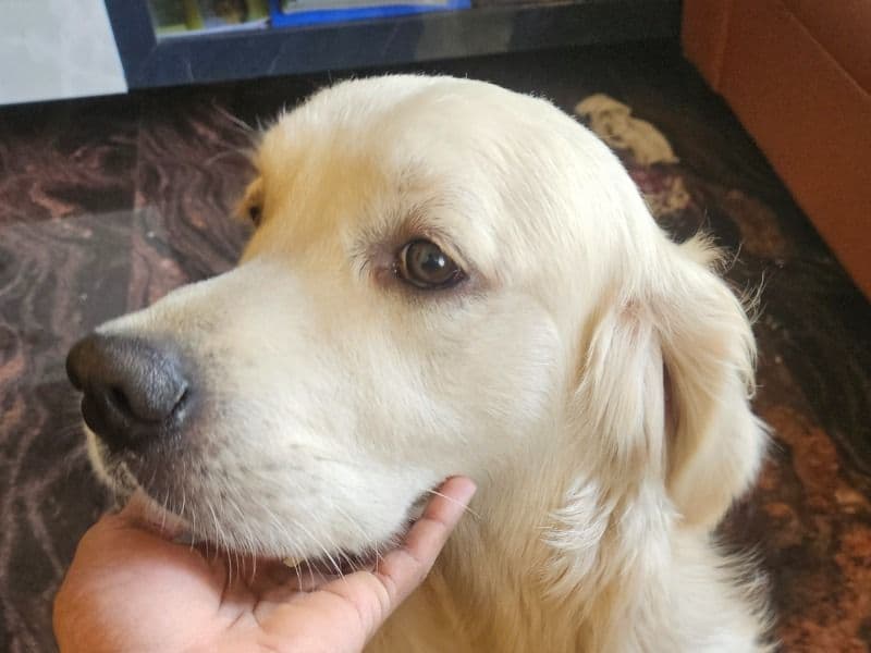 Jackie primary photo