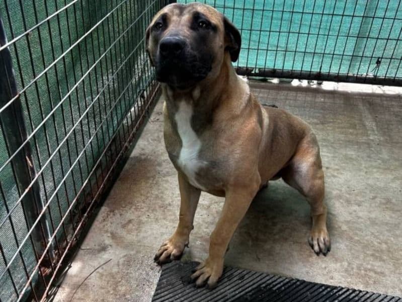 Tequila primary photo